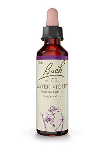 Water Violet - Image 2