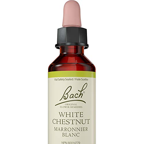 White Chestnut - Image 2