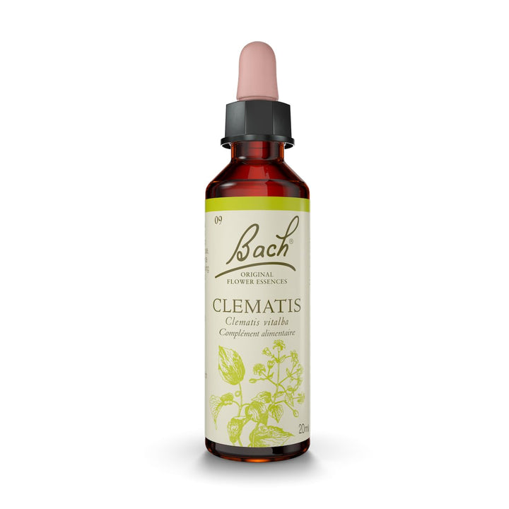 Clematis - Image 1