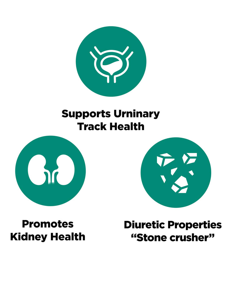 Chanca Piedra - Image 10