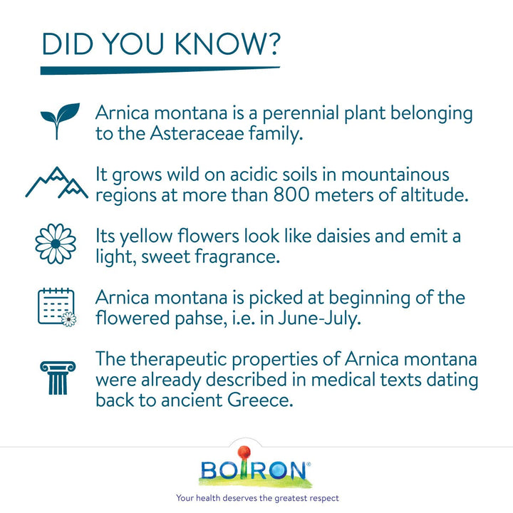 Arnica Montana 200ch - Image 7