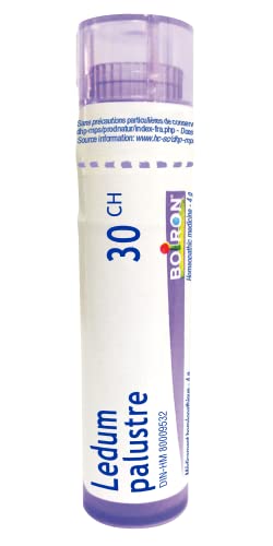 Ledum Palustre 30ch - Image 2