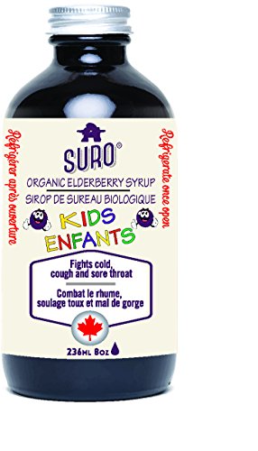 Organic Elderberry Syrup for Kids - Image 1