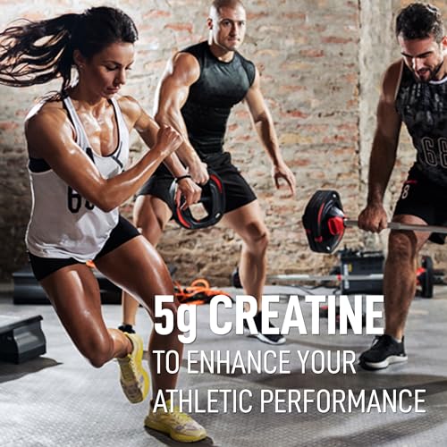 Creatine Monohydrate - Unflavoured - Image 10