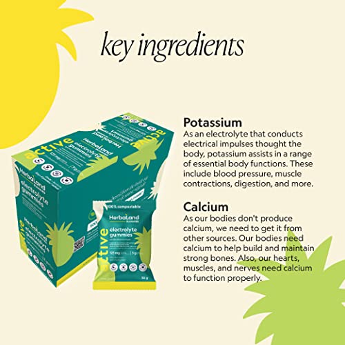Electrolyte Gummies - Image 8