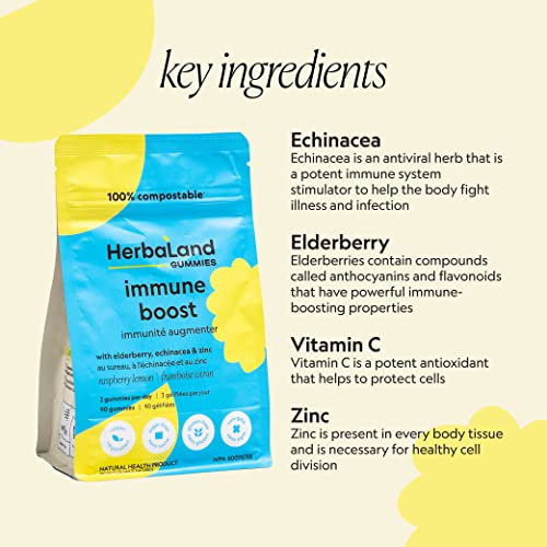 Acerola Vitamin C - Lemon - Image 8