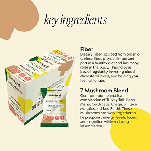 Shroom Power - Lemon Black Tea - Image 8