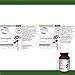 Astragalus - Image 5