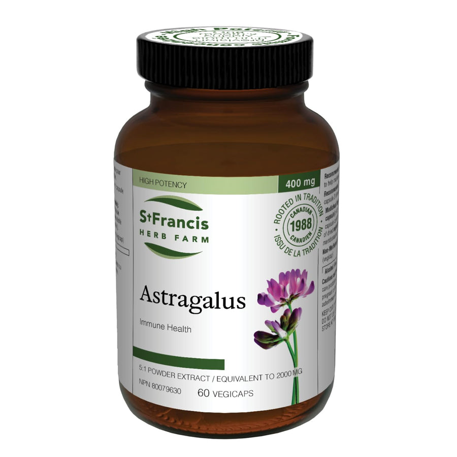 Astragalus - Image 1