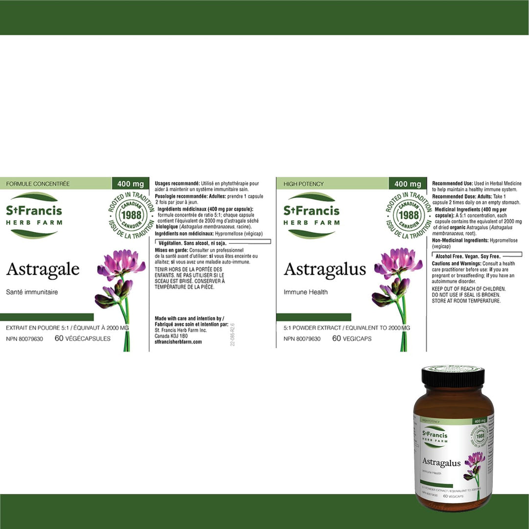 Astragalus - Image 4