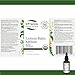 Lemon Balm - Image 6