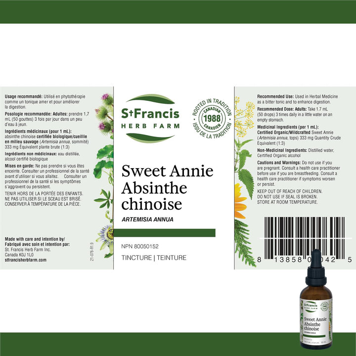 Sweet Annie - Image 4