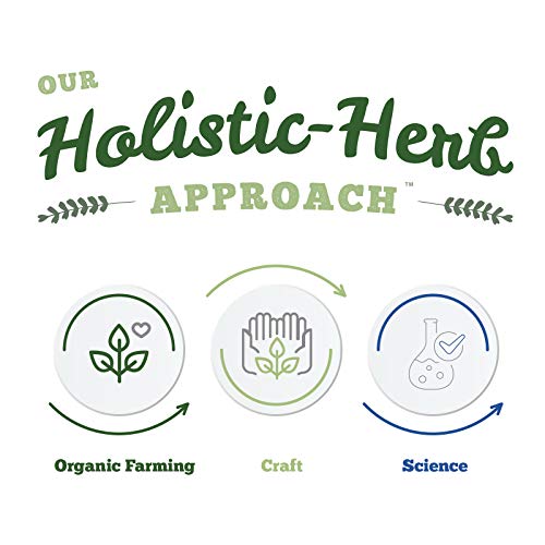 Black Walnut Hulls - Image 8