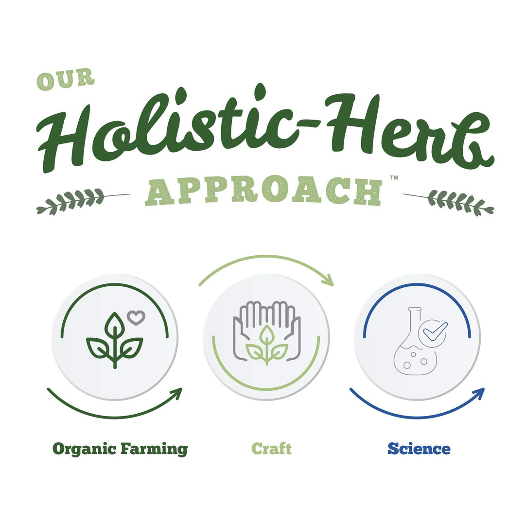 Black Walnut Hulls - Image 7