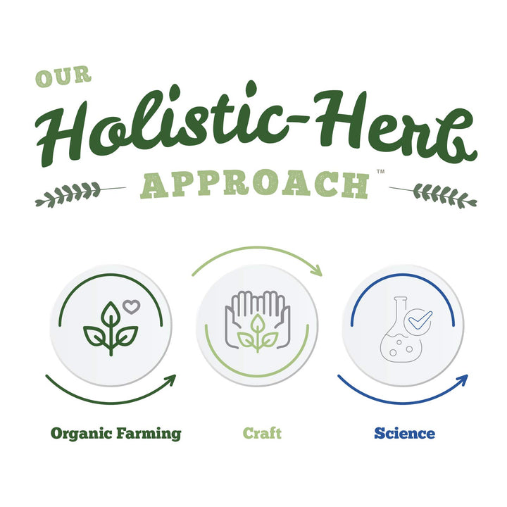 Black Walnut Hulls - Image 7