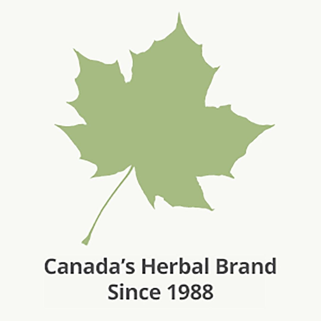 Chastetree - Hormone Normalizer - Image 6
