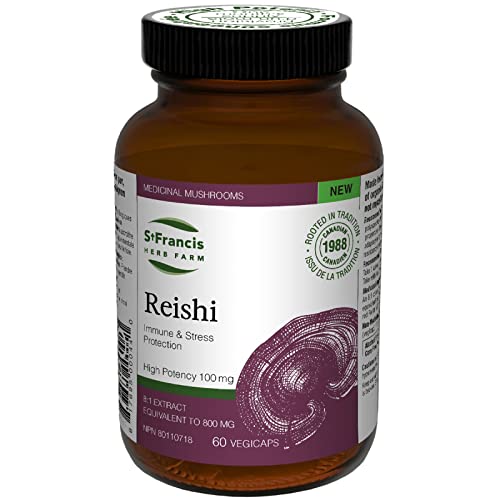 Reishi Mushroom - Image 2