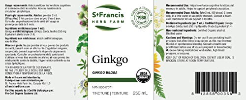 Ginkgo - Image 5