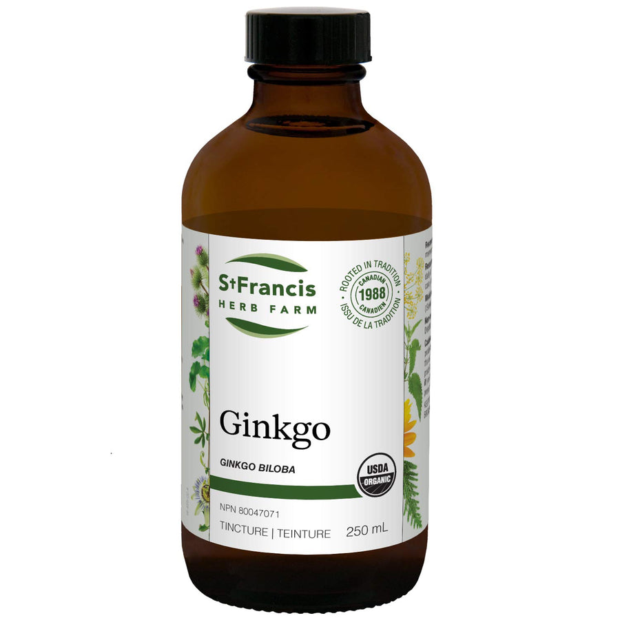Ginkgo - Image 1