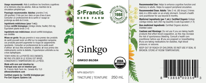 Ginkgo - Image 4