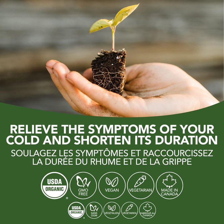 Goldenseal - Image 9