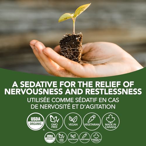 Motherwort - Image 8