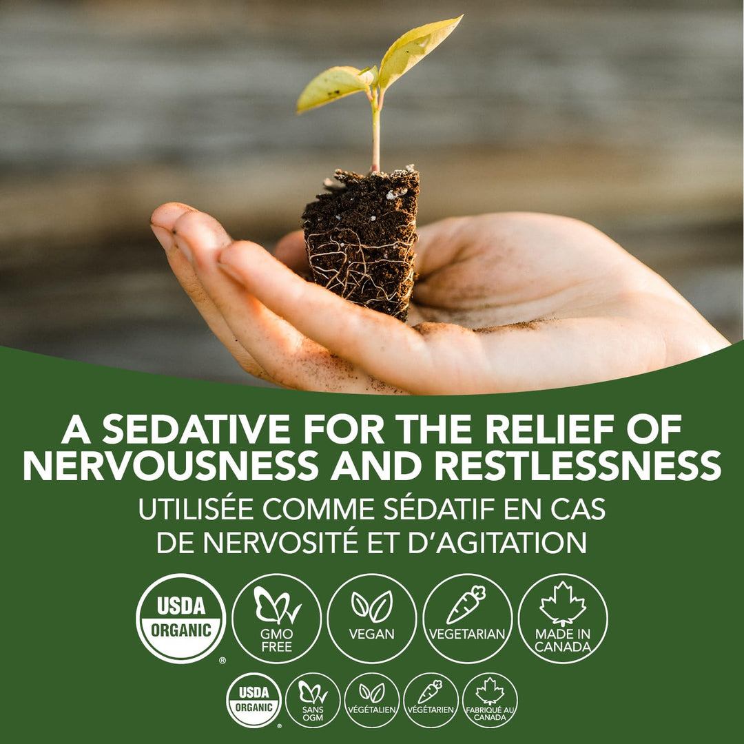 Motherwort - Image 7