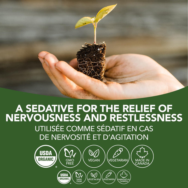 Motherwort - Image 7