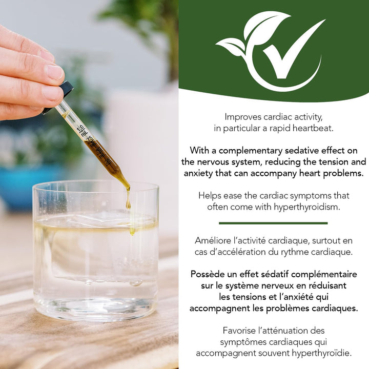 Motherwort - Image 10