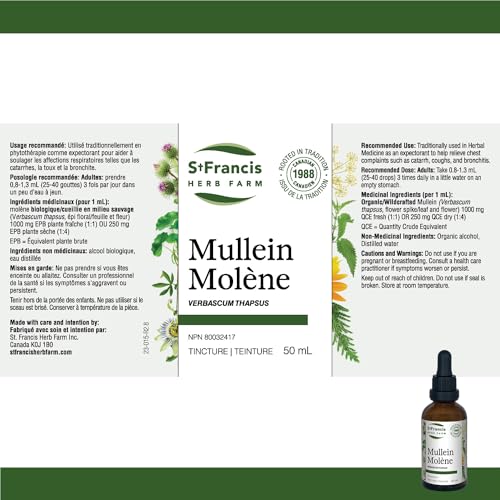 Mullein - Image 5