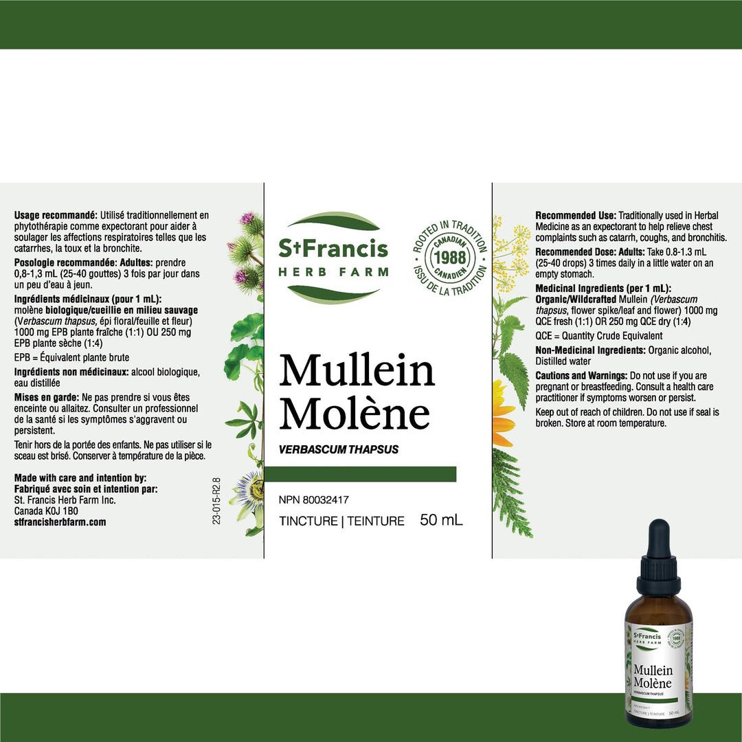 Mullein - Image 4