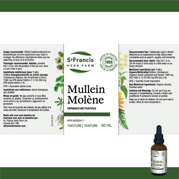 Mullein - Image 4