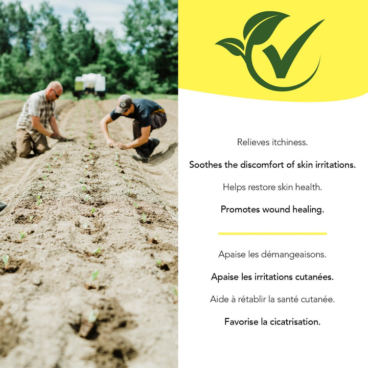 Red Clover - Image 7