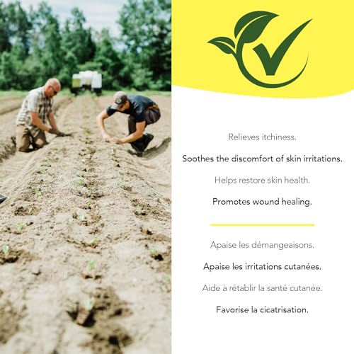 Red Clover - Image 8