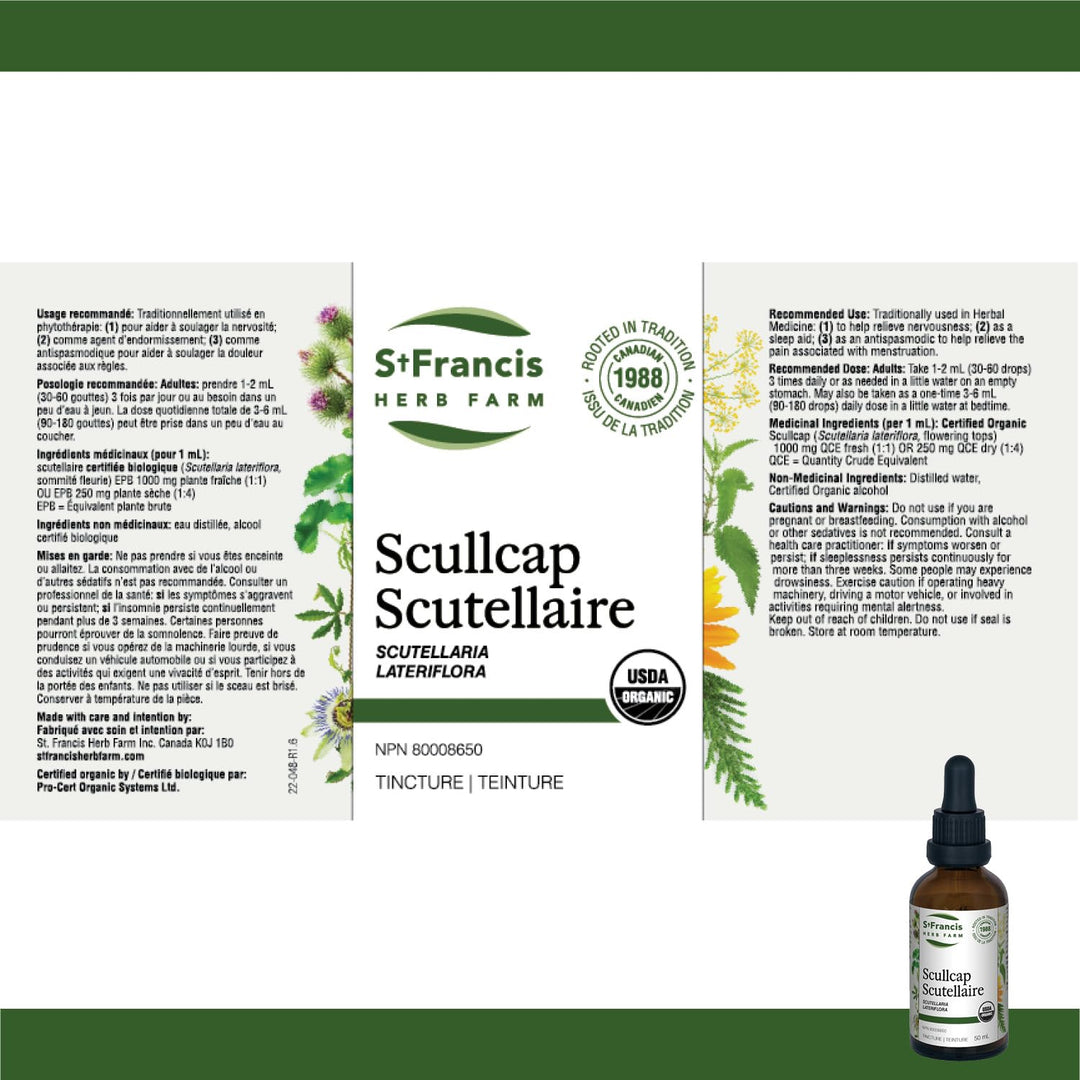 Scullcap - Image 4