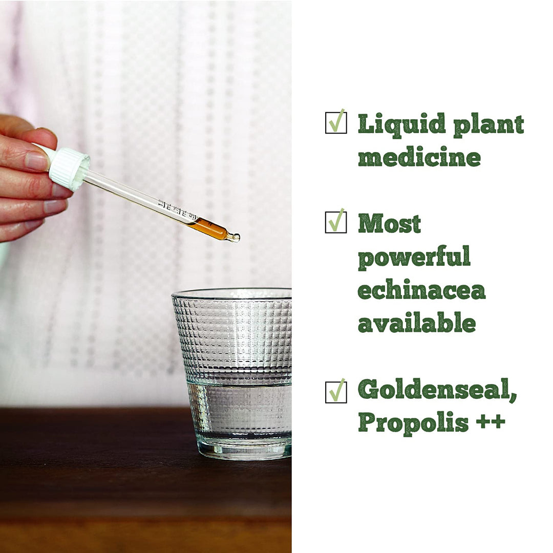 Echinaseal - Image 9