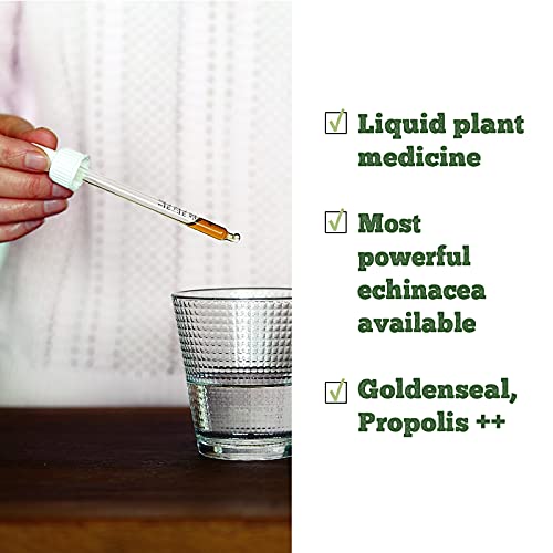 Echinaseal - Image 7