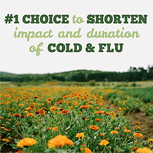 Echinaseal - Image 4