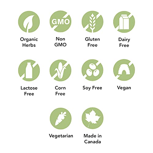 Echinaseal - Image 10