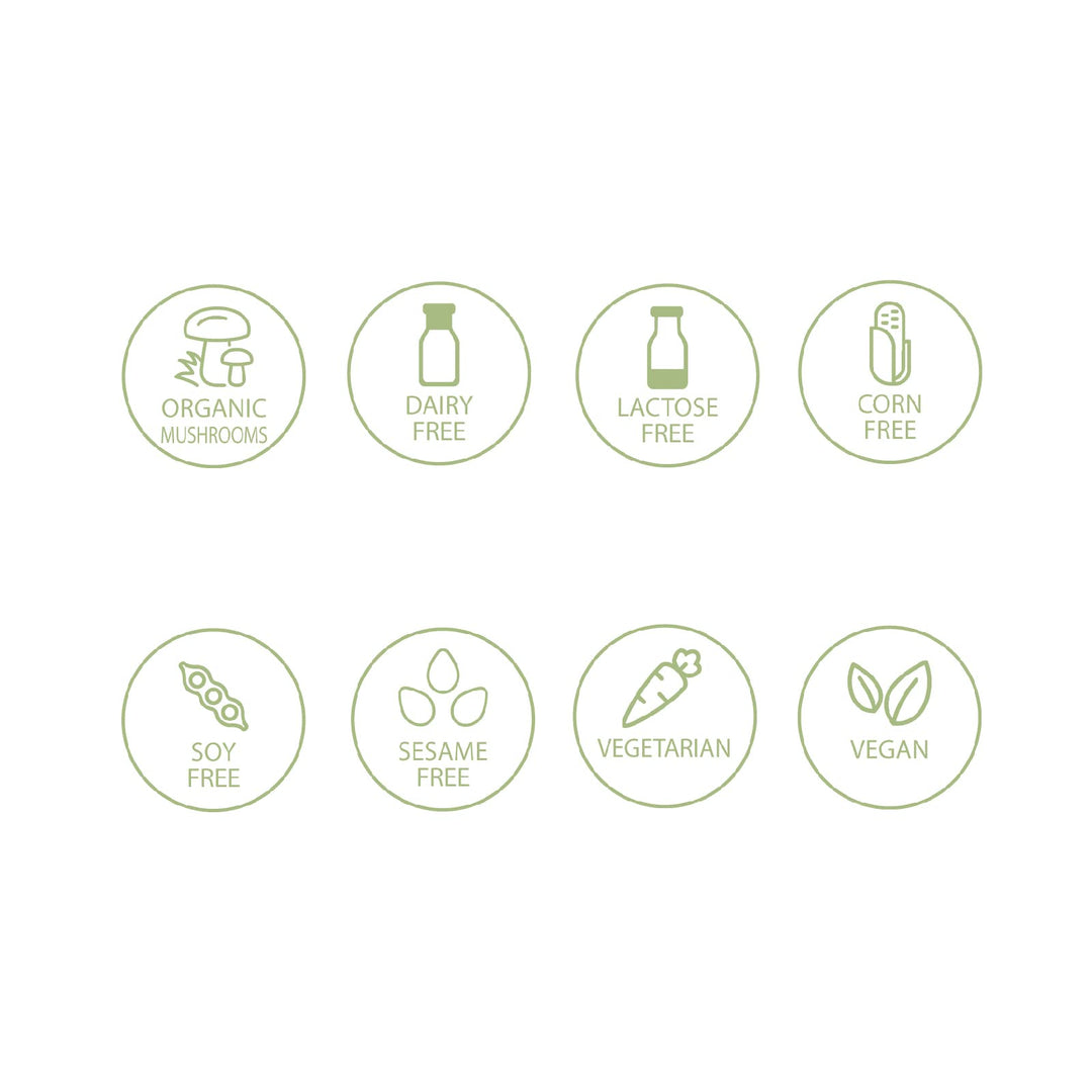 Chaga Mushroom - Image 10