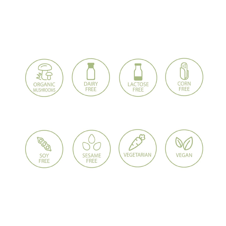 Chaga Mushroom - Image 10