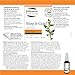 Throat Spray - Image 6