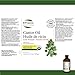 Castor Oil - Image 6
