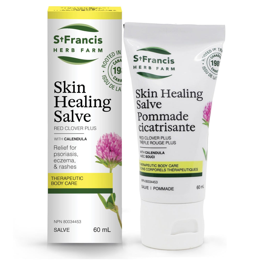 Skin Healing Salve - Image 1