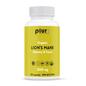 Organic Lion's Mane Memory & Focus - Image 3