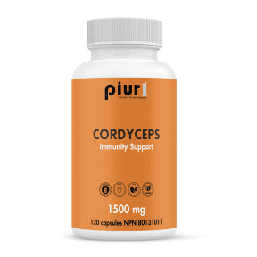 Cordyceps Sinensis - Image 2