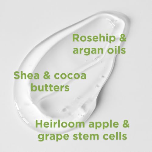 Citrus Sunflower Body Lotion - Image 8