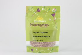 Coriander Seed (Cilantro) - Image 2