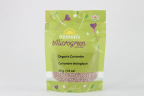 Coriander Seed (Cilantro) - Image 4