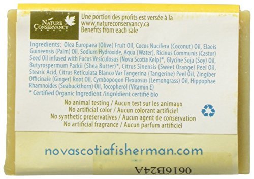 Seabuckthorn & Shea Soap - Image 4